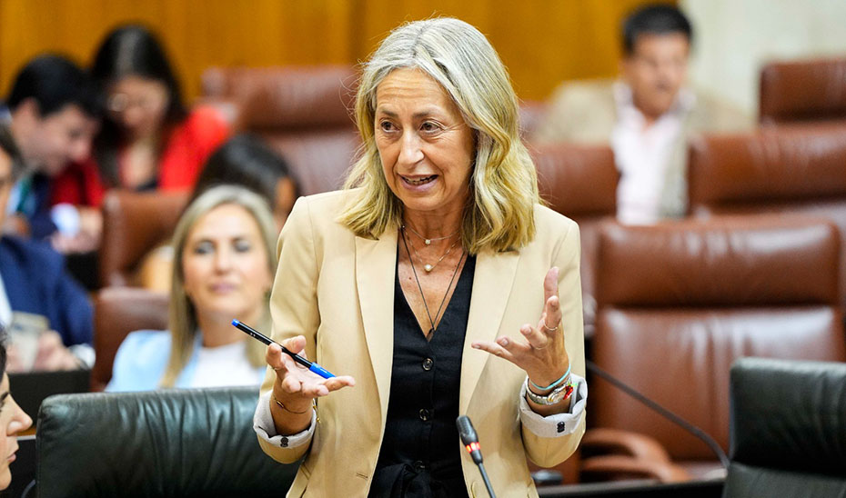 Imagen del artículo El nuevo modelo de atención a los pacientes crónicos mejorará la personalización de la asistencia y la adecuación de recursos