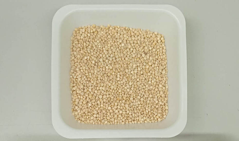 
			      Semillas de quinoa.			    
			  