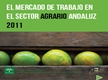 El Mercado de Trabajo en el Sector Agrario Andaluz 2011