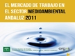 El Mercado de Trabajo en el Sector Medioambiental Andaluz 2011