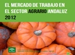 El Mercado de Trabajo en el Sector Agrario Andaluz 2012