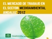 El Mercado de Trabajo en el Sector Medioambiental Andaluz 2012