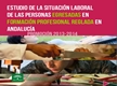 Estudio de la situación laboral de las personas egresadas en formación profesional reglada en Andalucí Promoci&oacte;n 2013-2014