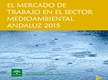El Mercado de Trabajo en el Sector Medioambiental Andaluz 2015