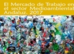 El Mercado de Trabajo en el Sector Medioambiental Andaluz 2017