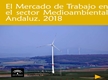 El Mercado de Trabajo en el Sector Medioambiental Andaluz 2018