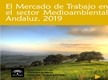 El Mercado de Trabajo en el Sector Medioambiental Andaluz 2019