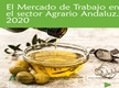 El Mercado de Trabajo en el Sector Agrario Andaluz 2020
