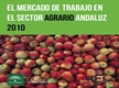 El Mercado de Trabajo en el Sector Agrario Andaluz 2010