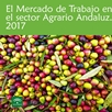 El Mercado de Trabajo en el Sector Agrario Andaluz 2017