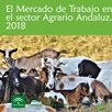 El Mercado de Trabajo en el Sector Agrario Andaluz 2018