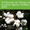 El Mercado de Trabajo en el Sector Agrario Andaluz 2019