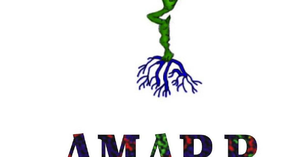 Conoce la misión, visión, valores y objetivos de AMAPyP