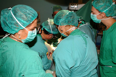 Imagen de archivo de un quirófano durante la realización de un trasplante. 