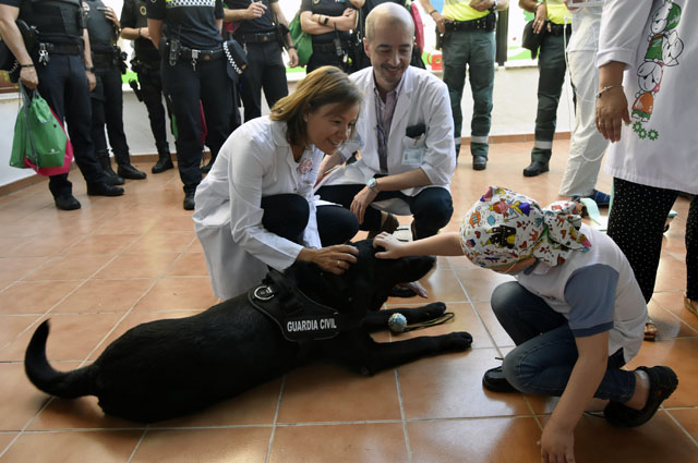 La Unidad Canina ha realizado una exhibición en la terraza del Hospital Materno Infantil