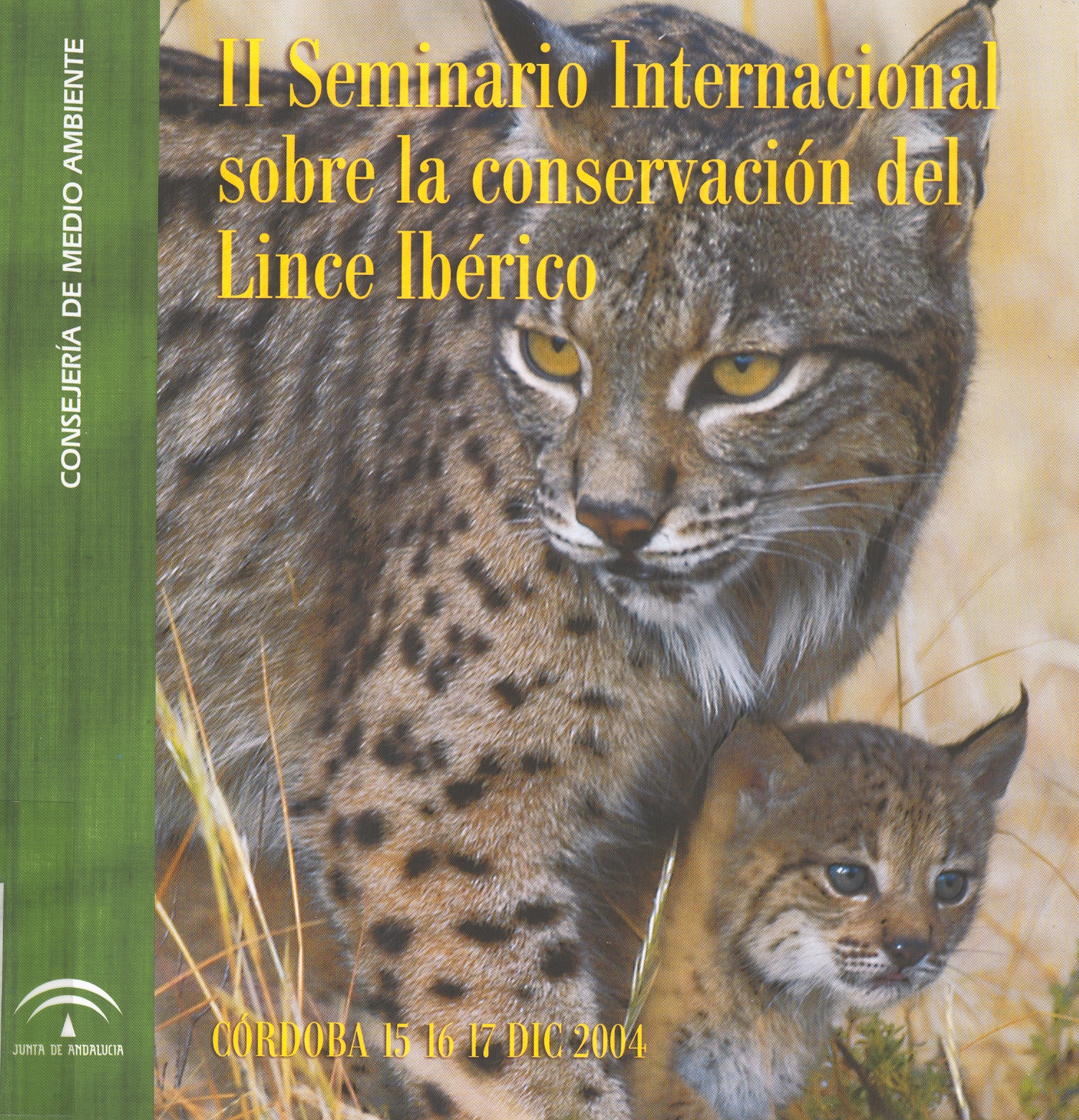 1337163242II_lince.jpg