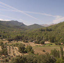 Andalucía cuenta con 4,4 millones de hectáreas de superficie forestal.