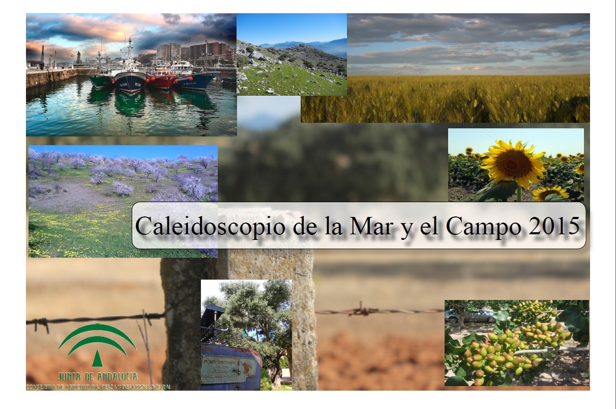 caleidoscopio_MyC_2015_portada.jpg