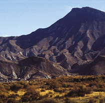 El Desierto de Tabernas (Almería) es una de las 34 nuevas ZEC de la red europea.