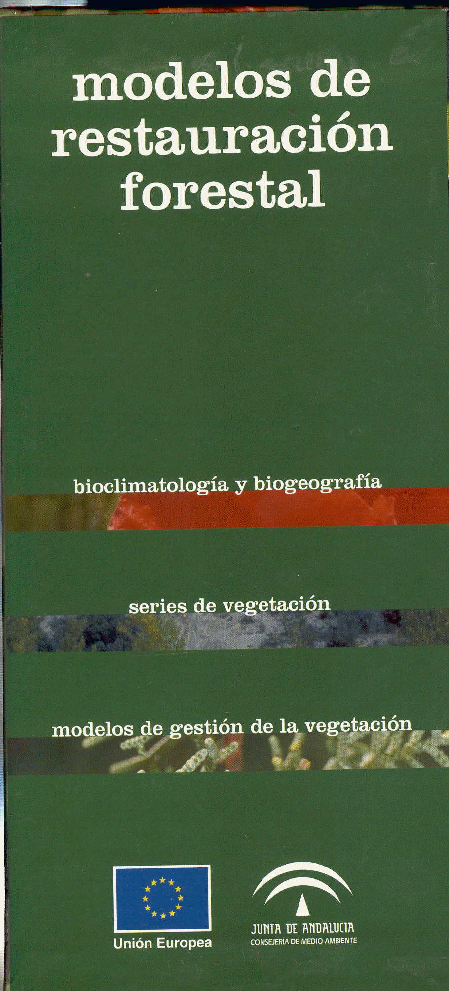 1337165121Modelos_restauracion_forestal.jpg