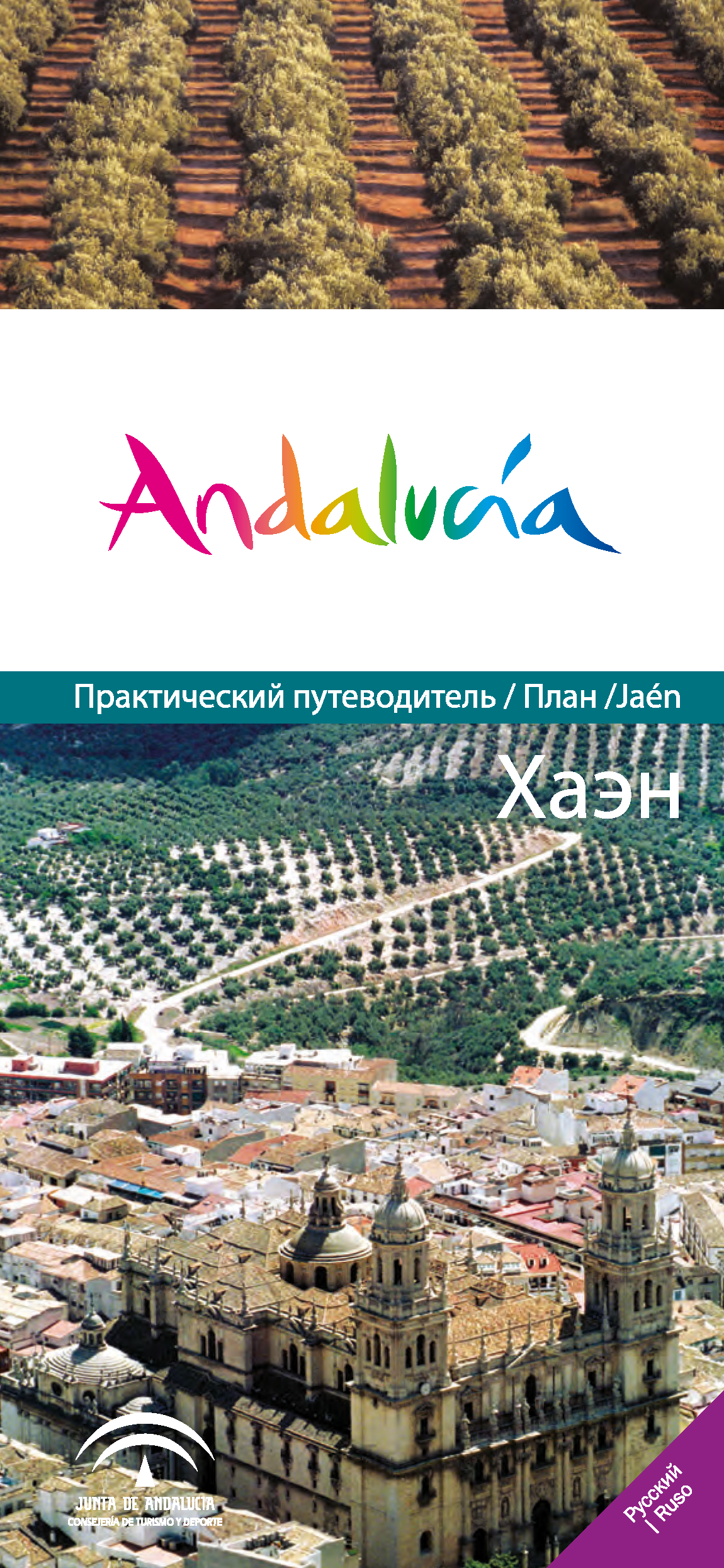 143532444_Portada.png