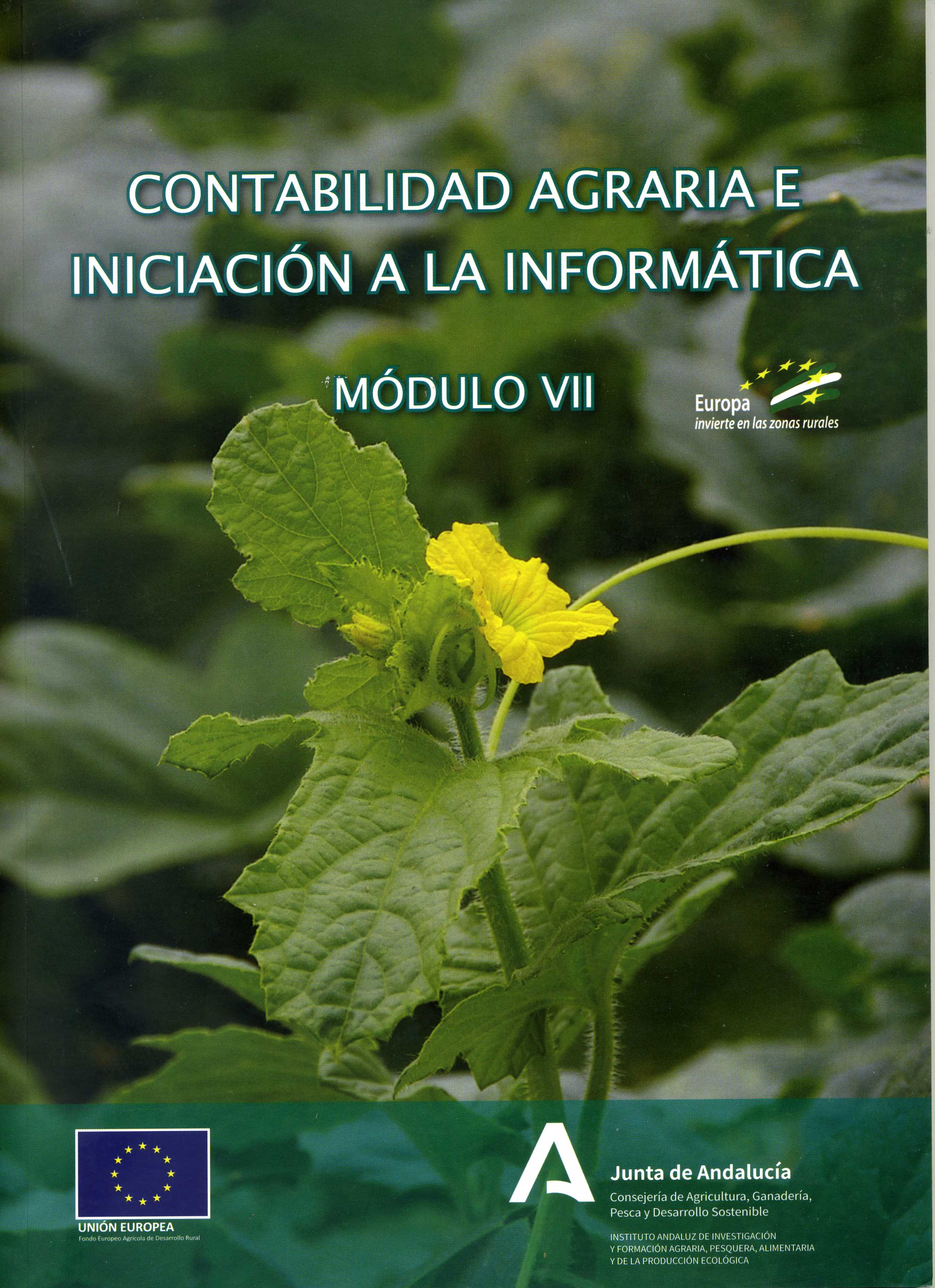 CONTABILIDAD AGRARIA E INICIACION A LA INFORMÁTICA. MÓDULO VII