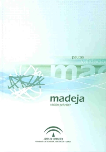 Madeja. vision practica.jpg