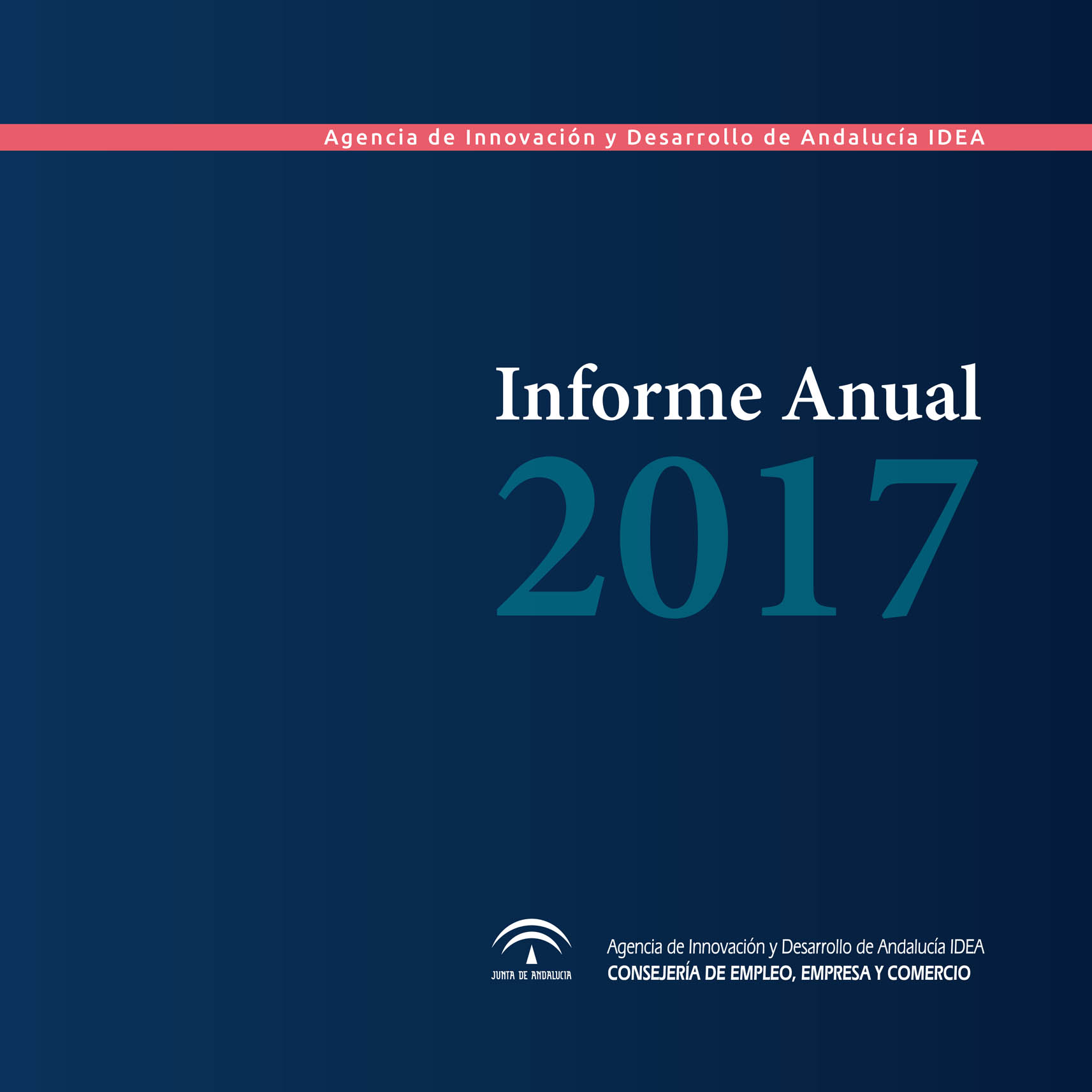 IDEA Informe Anual 2017