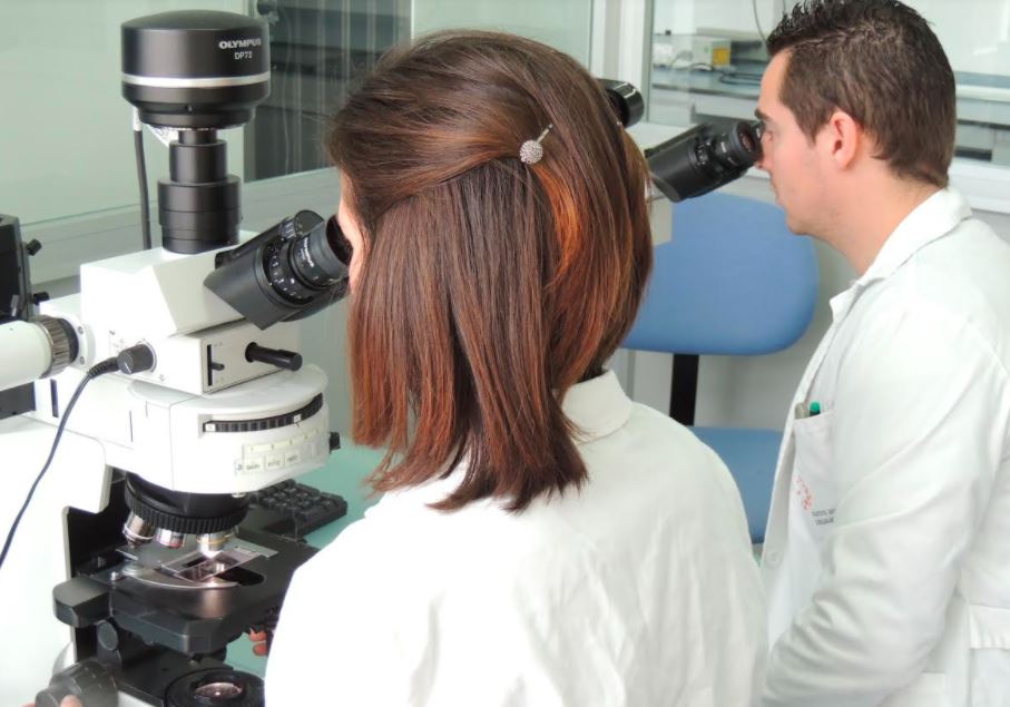 La Fundación Progreso y Salud recibe