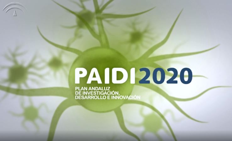 Vídeo divulgativo PAIDI 2020