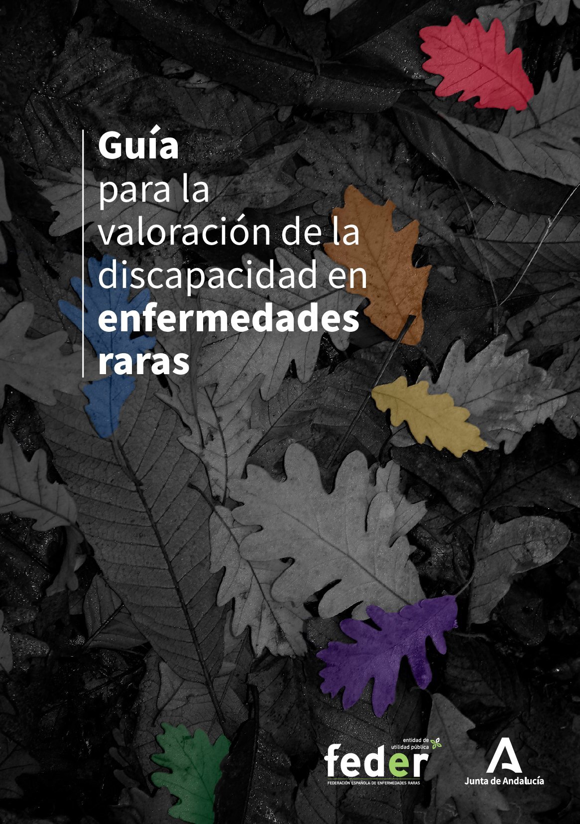 Guía para la valoración de la discapacidad en enfermedades raras