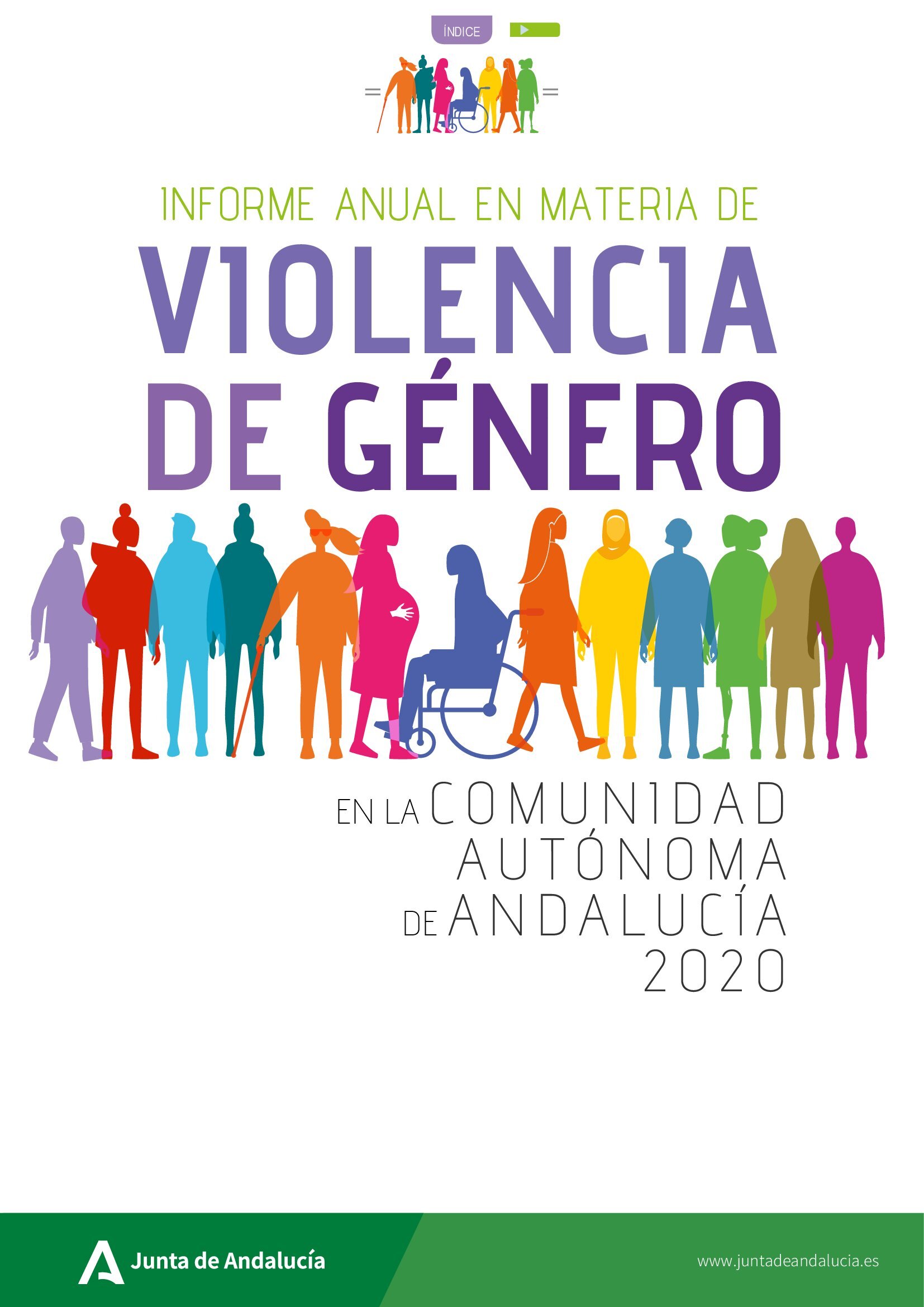 Informe anual en materia de Violencia de Género en la Comunidad Autónoma de Andalucía 2020