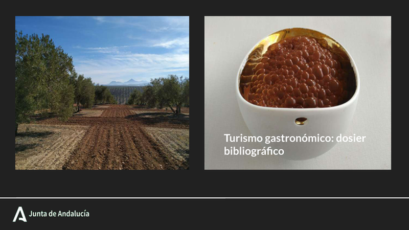 143649899-img2.png