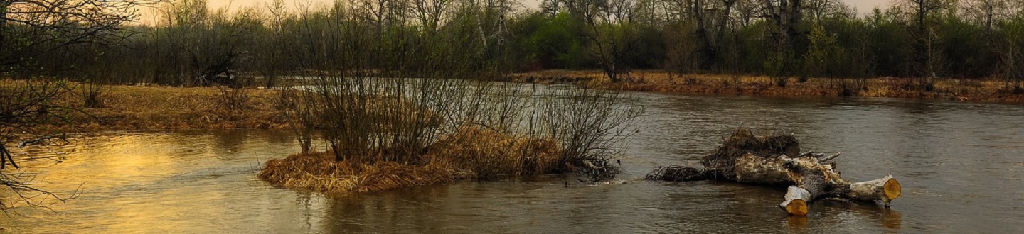 Inundaciones