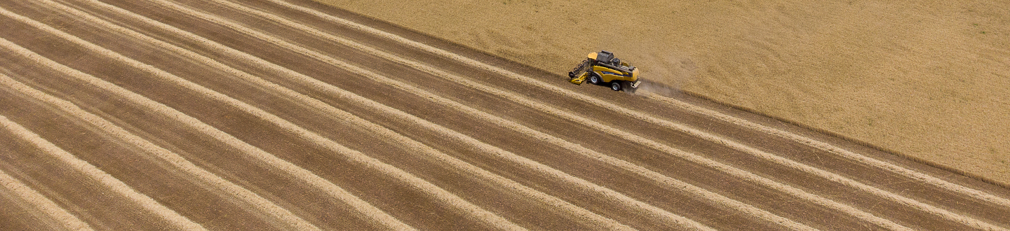 campo preparado para la siembra con un tractor