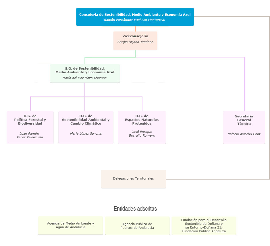 Organigrama de la Consejería de Sostenibilidad, Medio Ambiente y Economía Azul