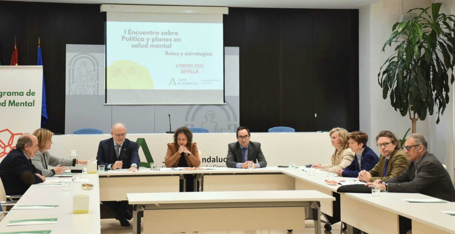 Andalucía crea el Consejo Asesor Externo del Plan Andaluz de Salud Andalucía crea el Consejo Asesor Externo del Plan Andaluz de Salud
