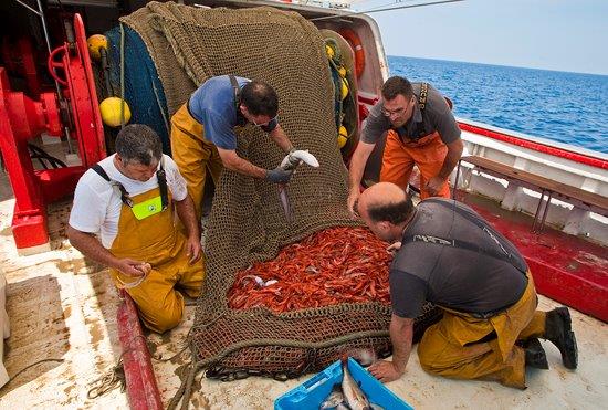 Pesca de arrastre
