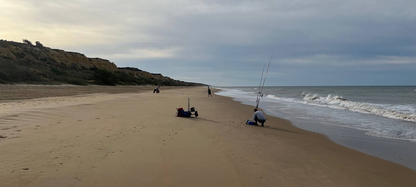 Licencia de pesca