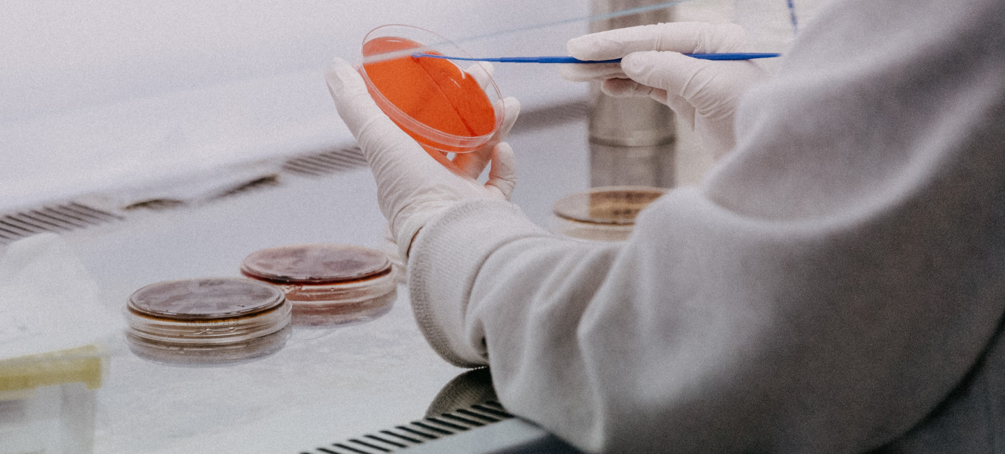 Probeta - investigación