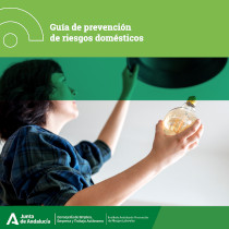 Guía de prevención de riesgos domésticos