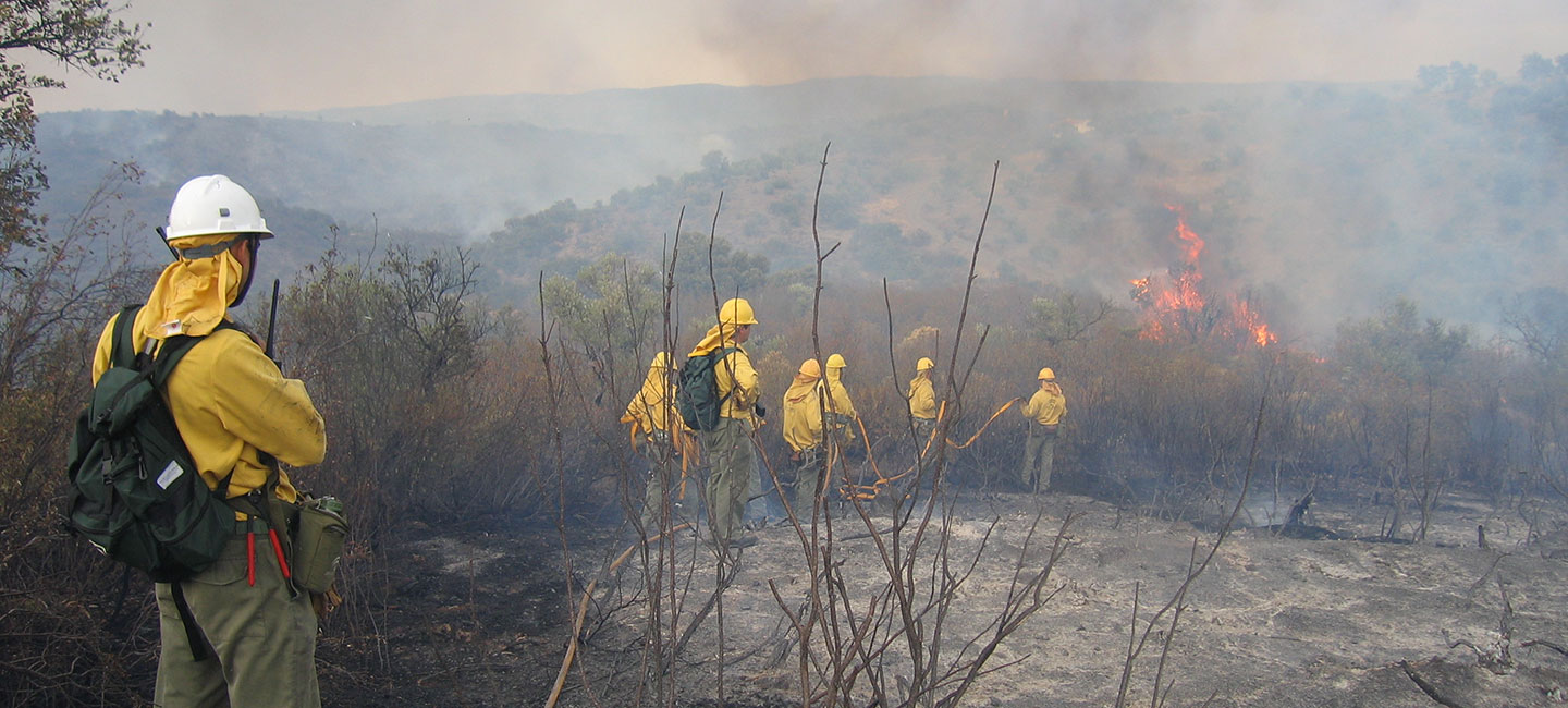 Varios miembros del INFOCA trabajan en un incendio