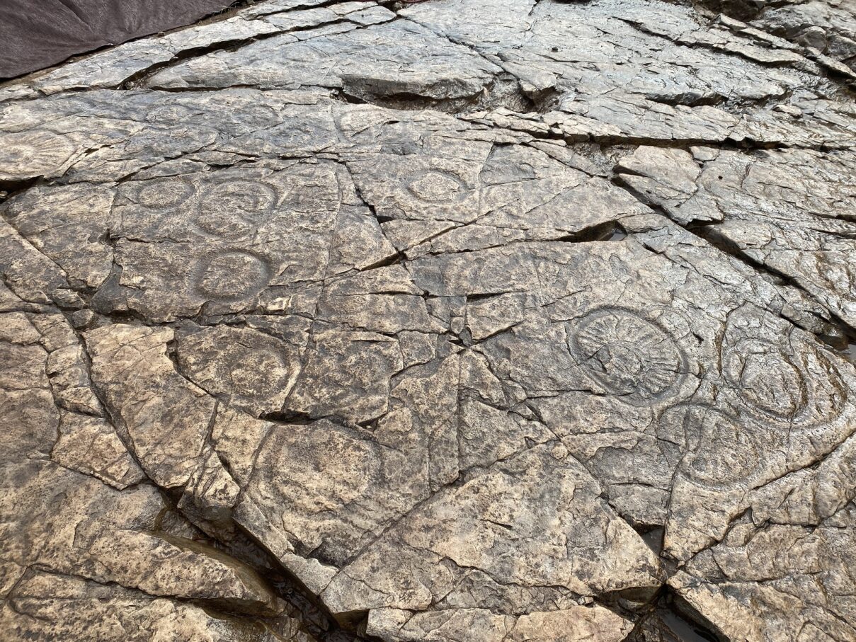 Monumento Natural "Huellas Fósiles de Medusas de Constantina (Sevilla)"