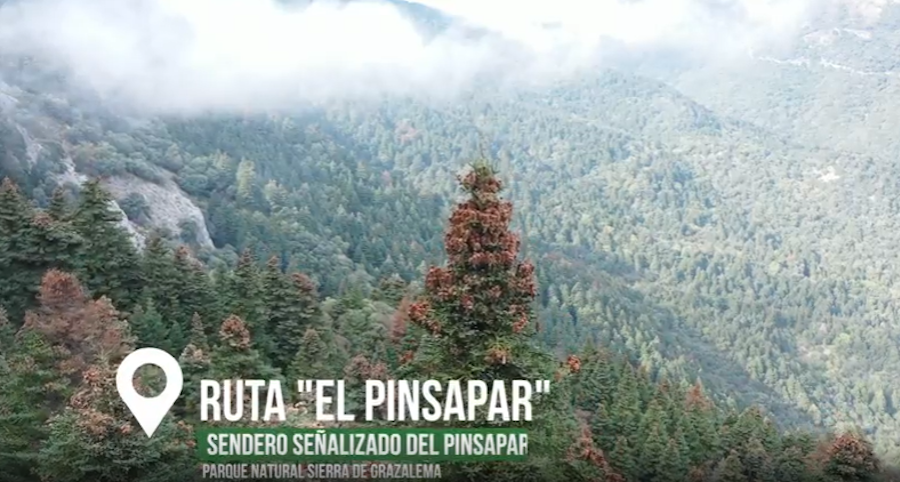 Rutal El Pinsapar