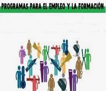 Las alegaciones deberán dirigirse a la Dirección General de Formación Profesional para el Empleo 