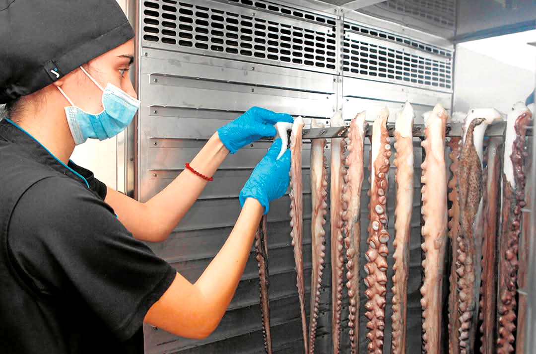 Imagen de archivo del proceso de elaboración de pulpo seco