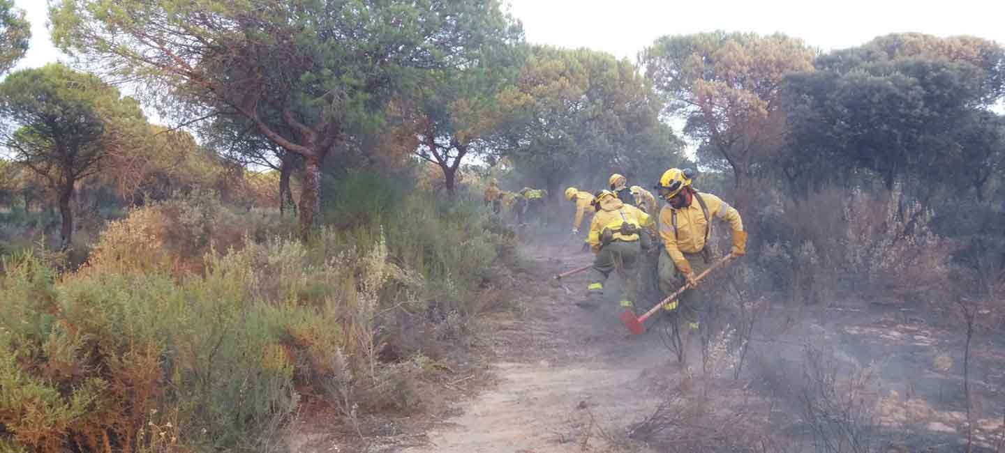Técnicos de incendios forestales durante una intervención