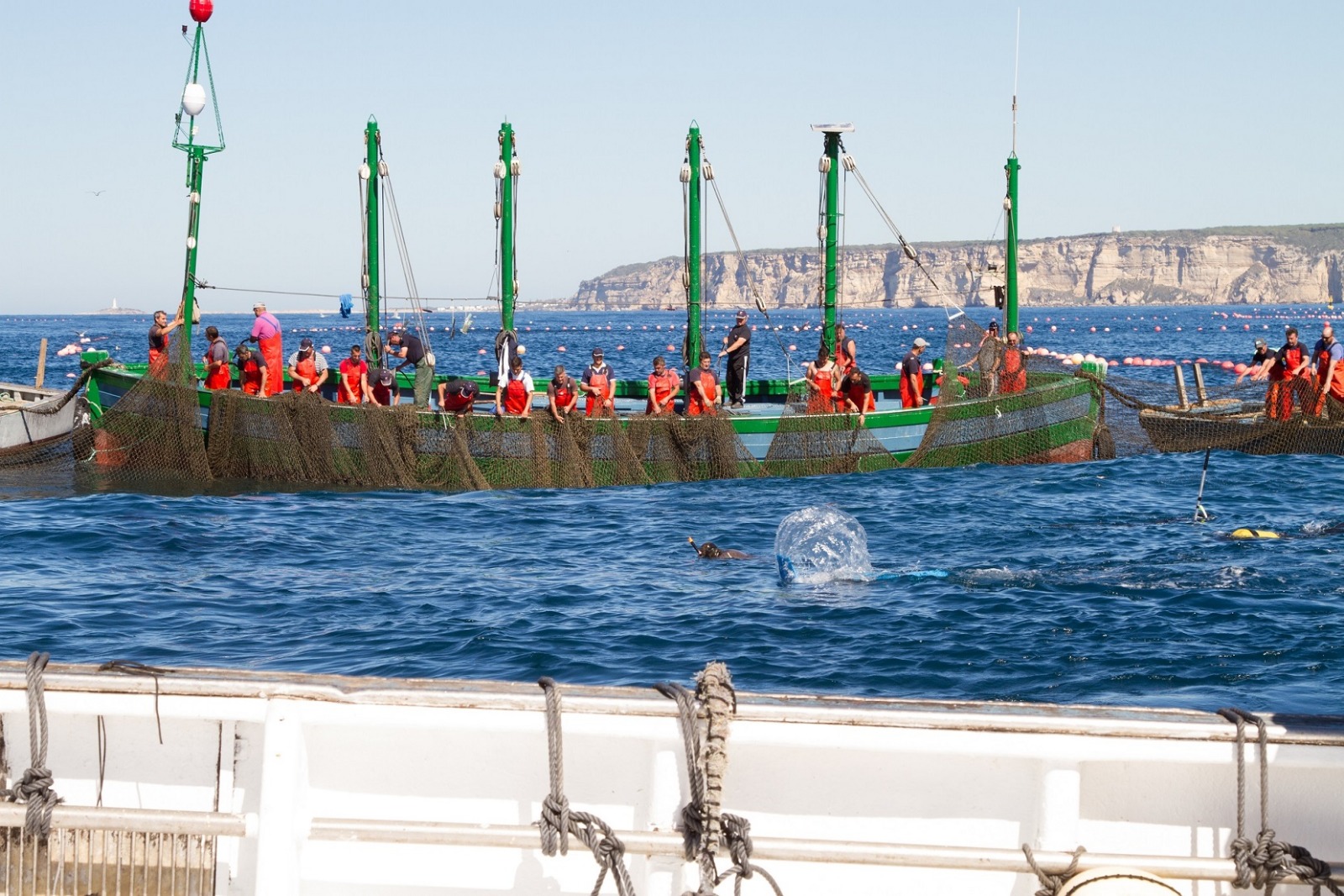 Pesca de almadraba