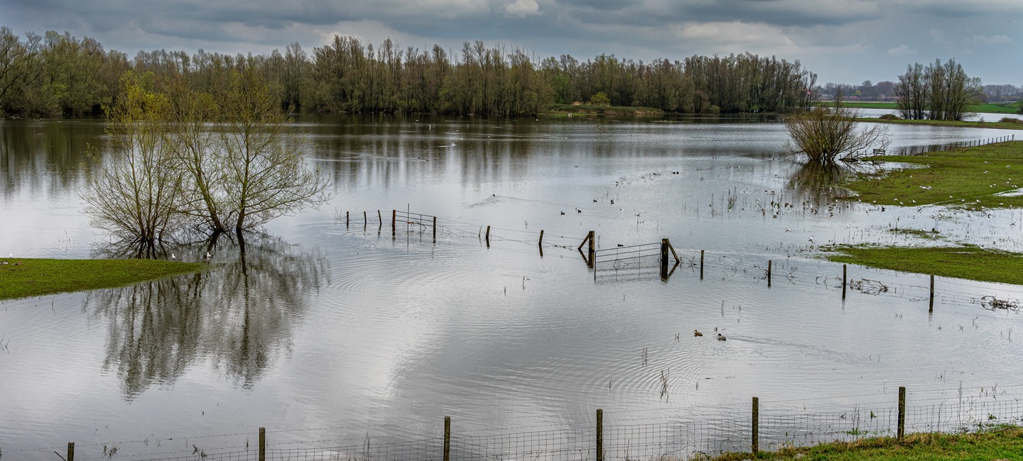 Medida 23 fenómenos adversos