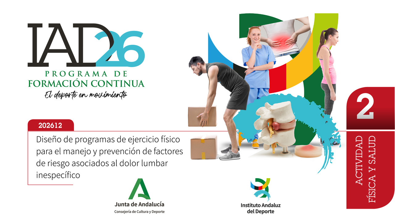 Diseño de programas de ejercicio físico para el manejo y prevención de factores de riesgo asociados al dolor lumbar inespecífico